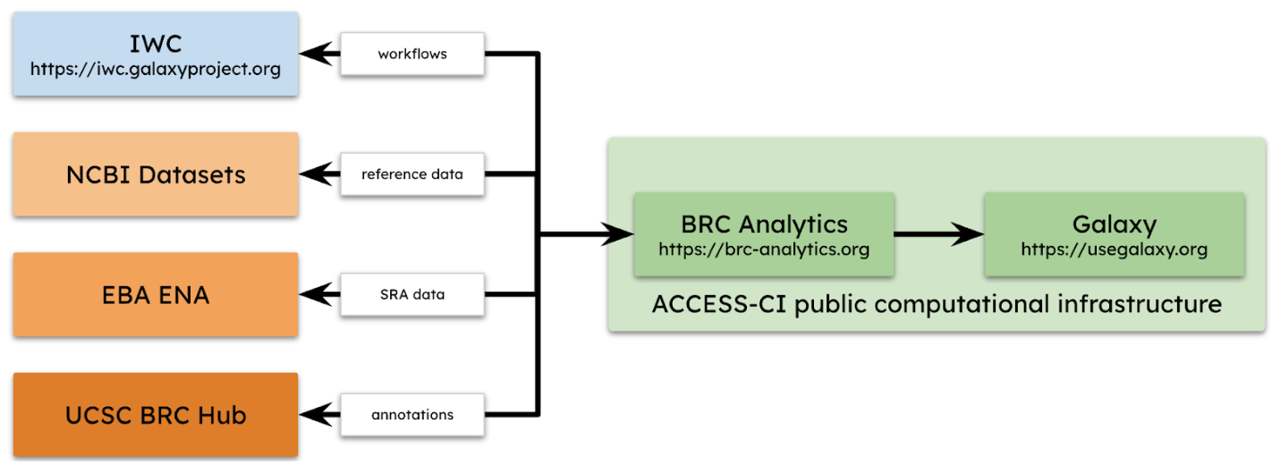 Main components of BRC-analytics