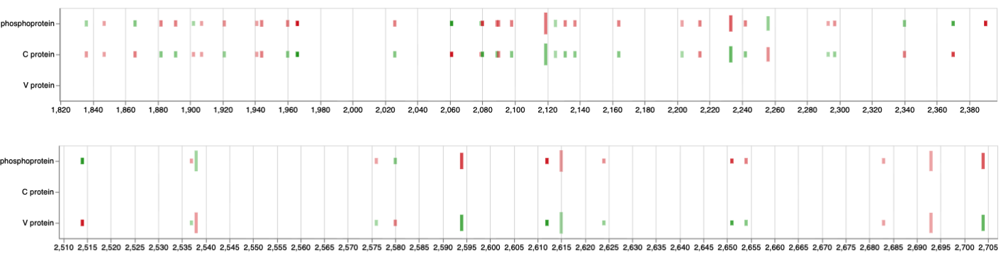 Nucleotide changes within P/C (top) and P/V (bottom) overlaps