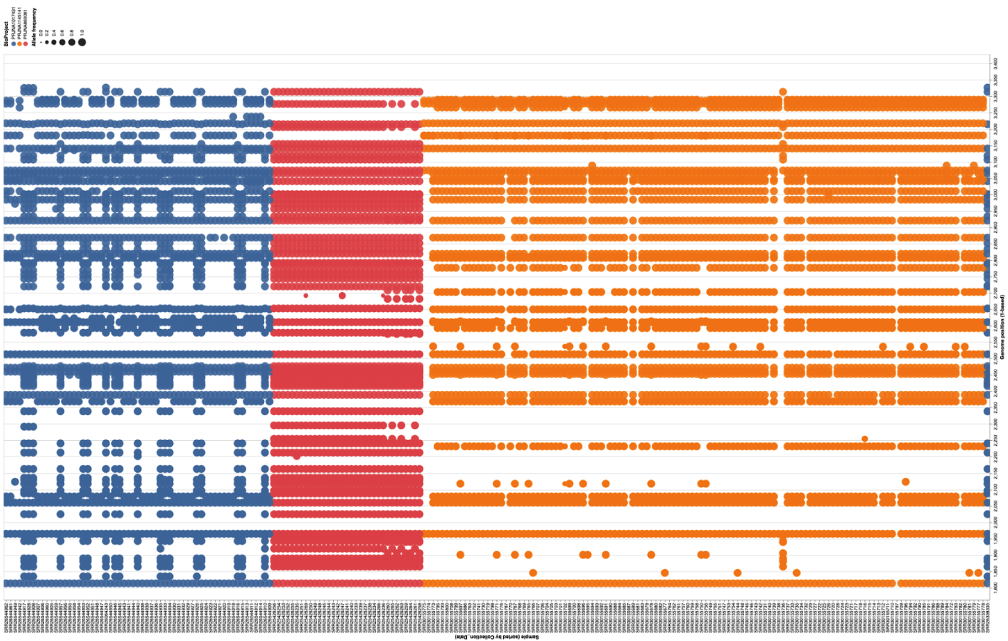 Substitutions within P/V/C locus in each sample